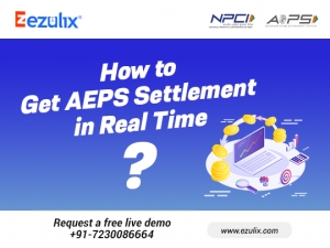 AEPS Software with 24*7 Real-Time AEPS Settlement